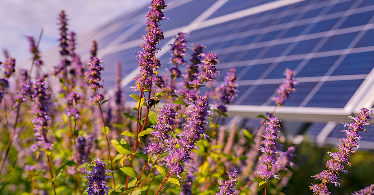 Sustainability for all Enel North America