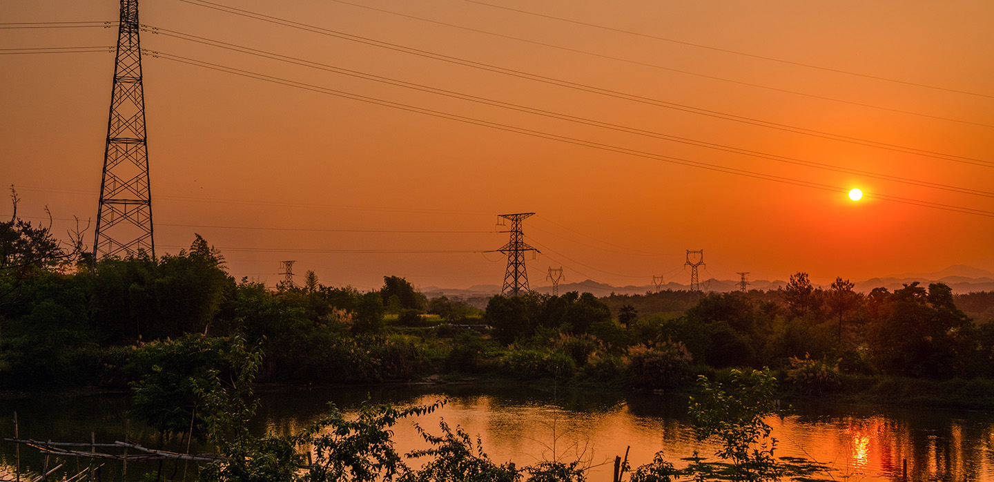 Summer 2024: sizzling temperatures drive a new demand response record