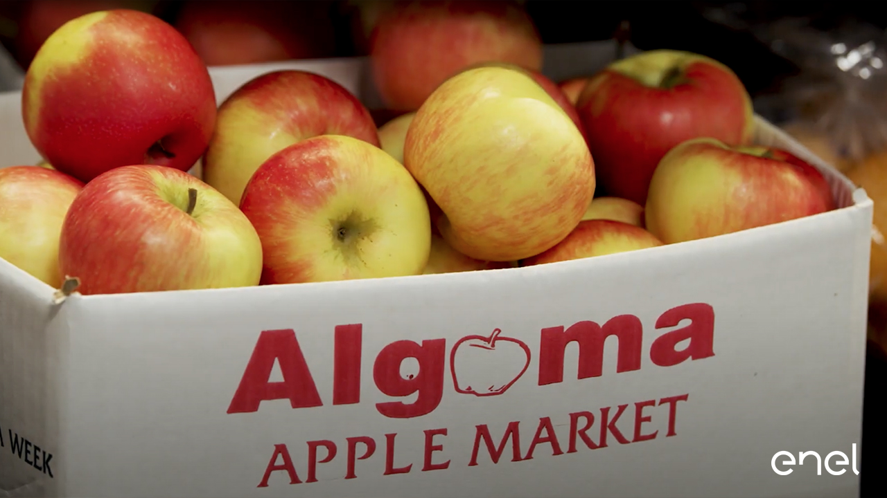 Battery storage for Algoma Orchards