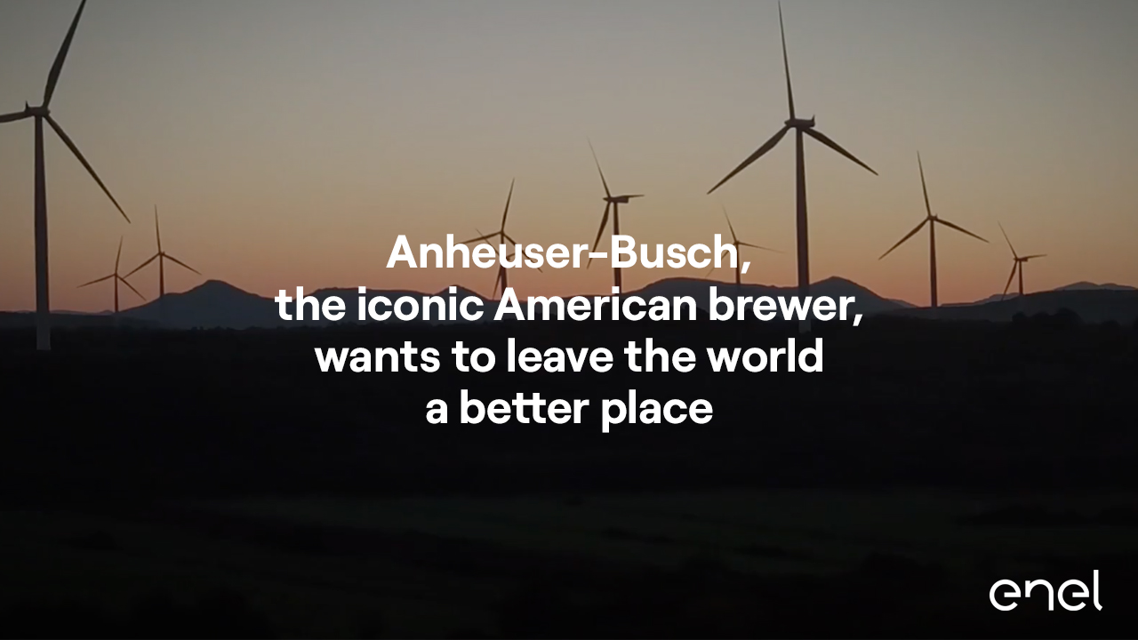 Anheuser-Busch and a more sustainable future