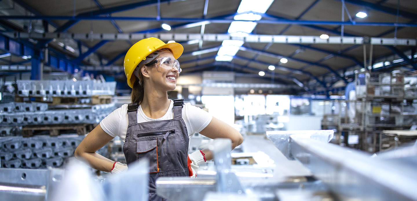 What is energy flexibility?