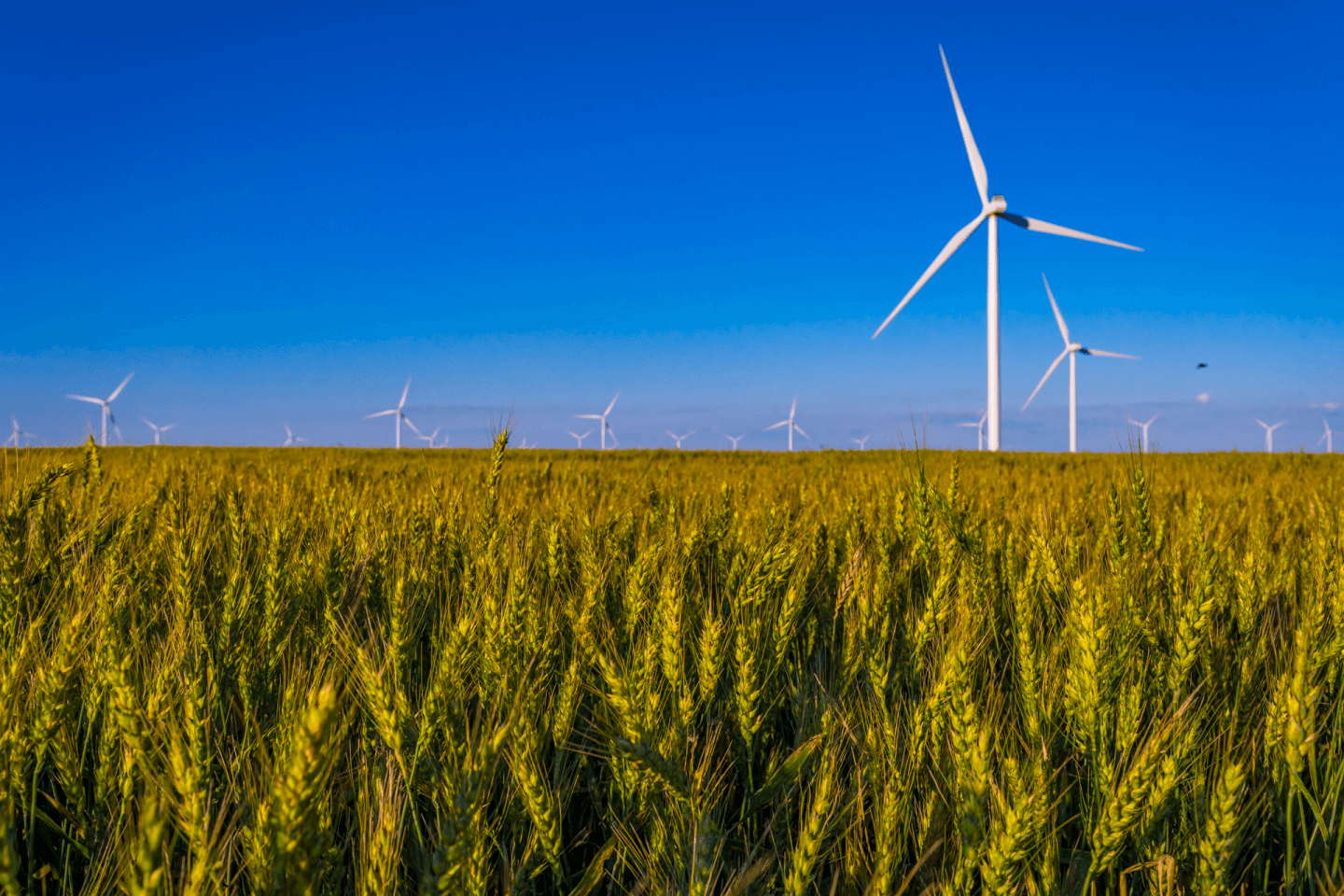 Group's largest renewable energy plant opens | Enel North America