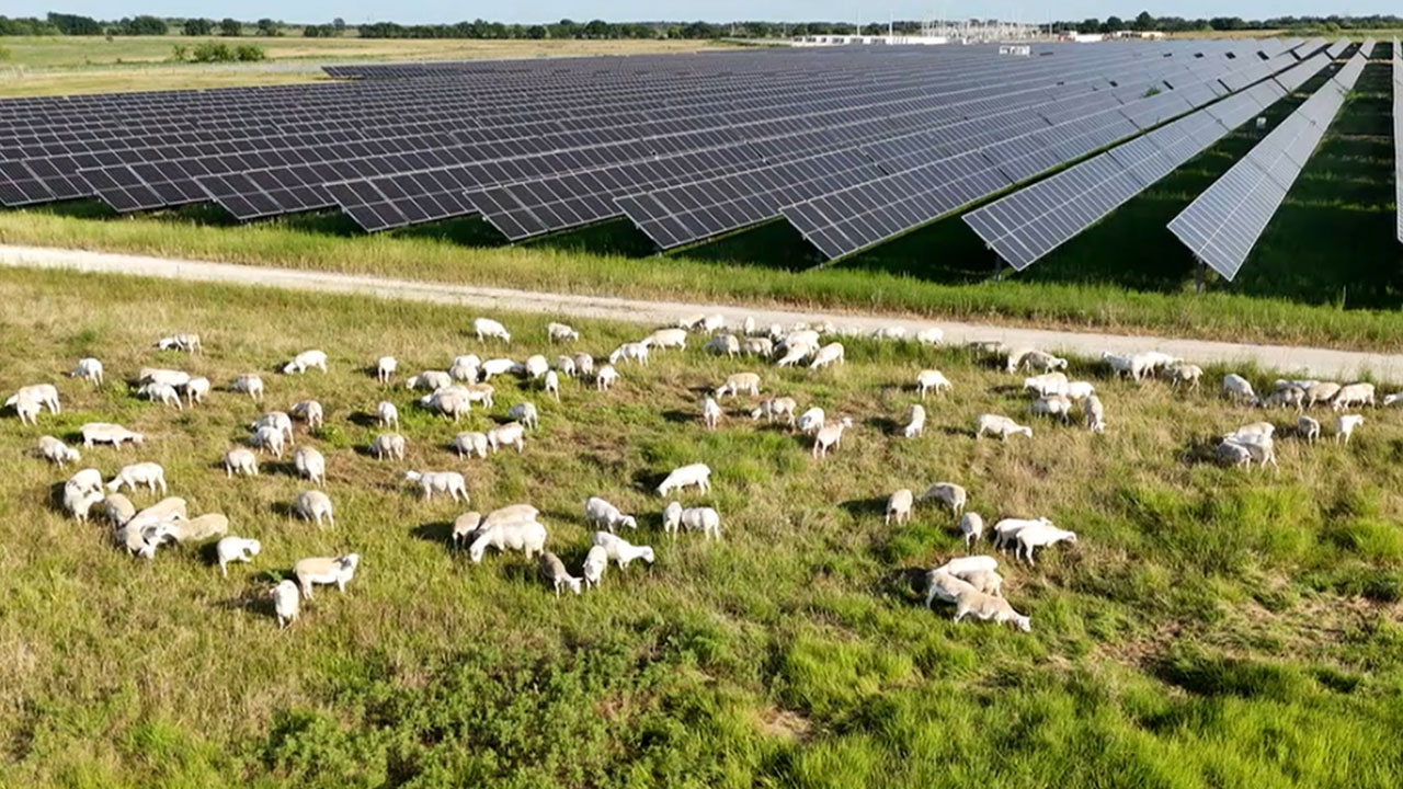 Biến tần điện mặt trời cho trang trại nông nghiệp, chăn nuôi 2 Biến tần điện mặt trời cho trang trại nông nghiệp, chăn nuôi