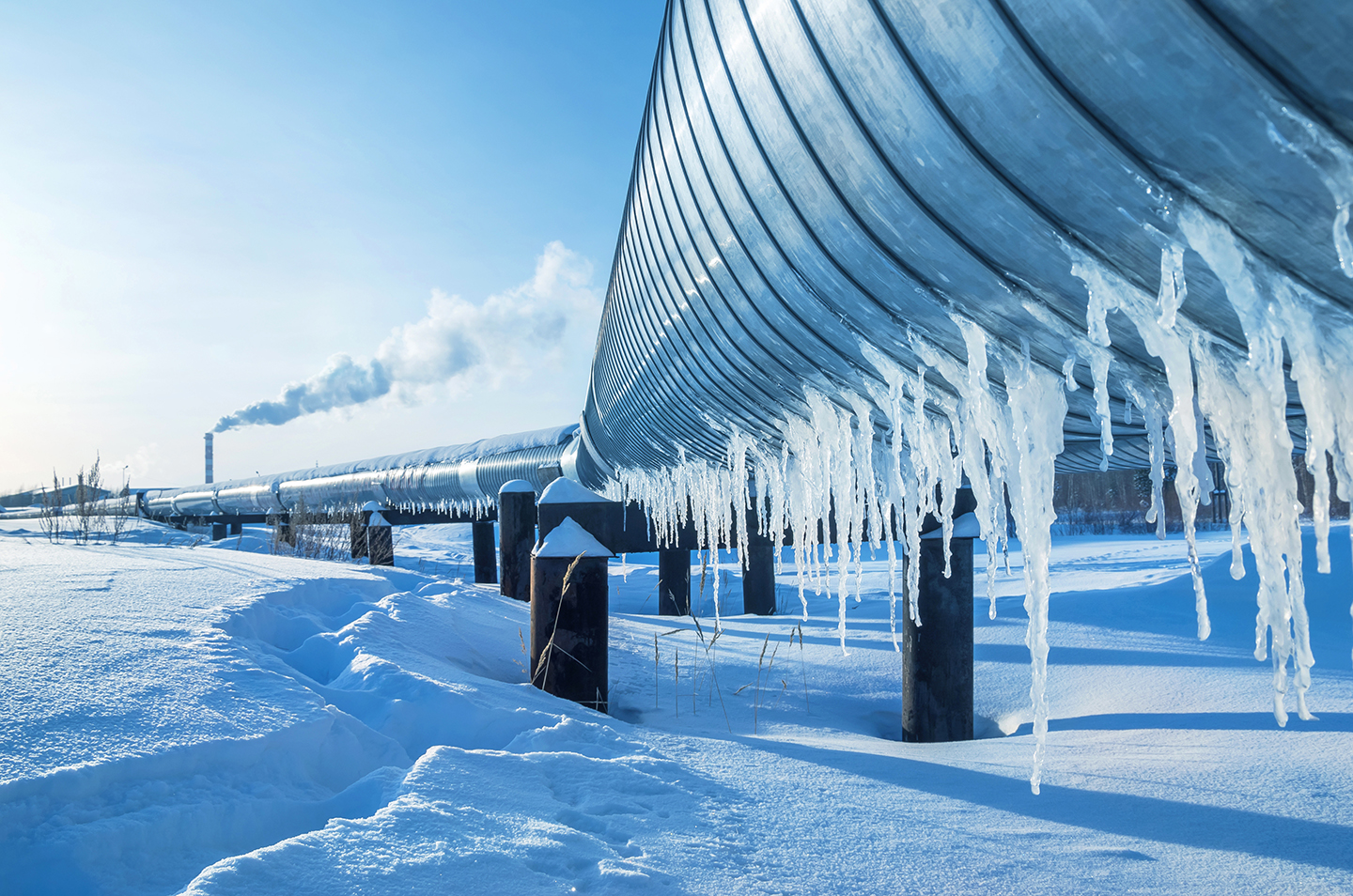 Demand response and resilience to extreme weather