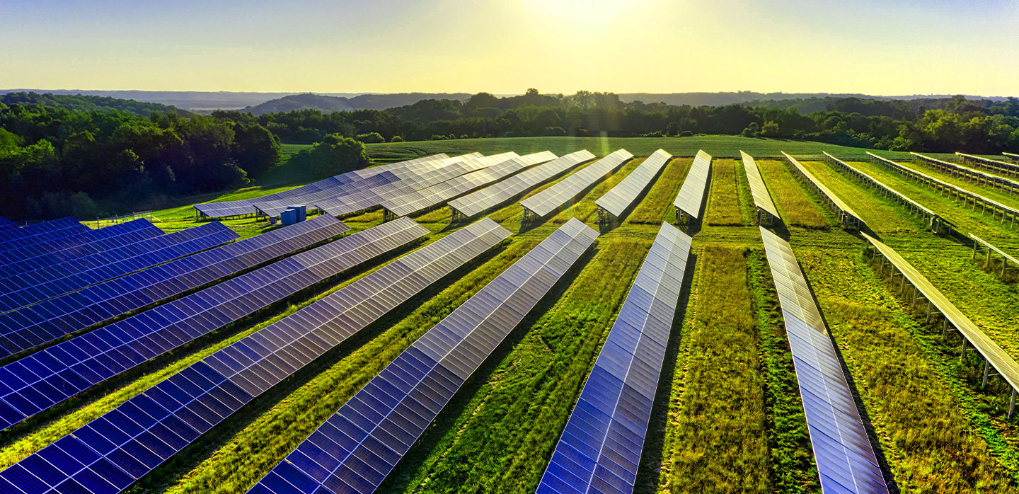Energy Market Insights: January 2025