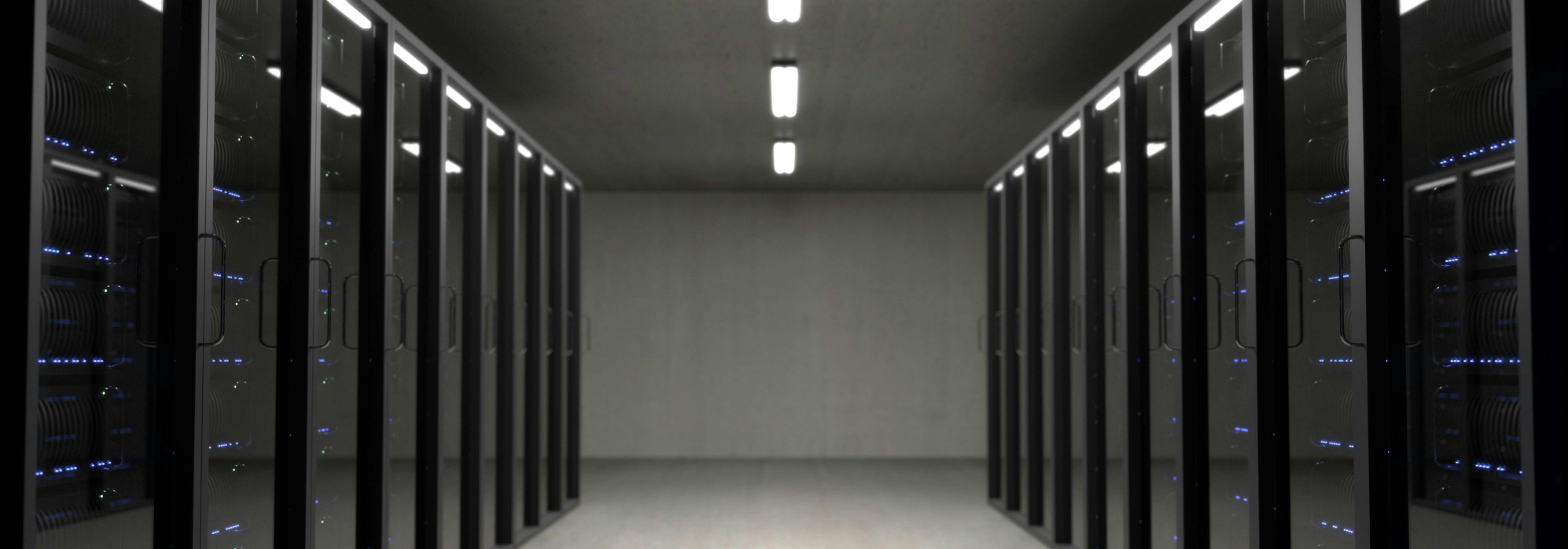 Energy Market Insights: July 2024
