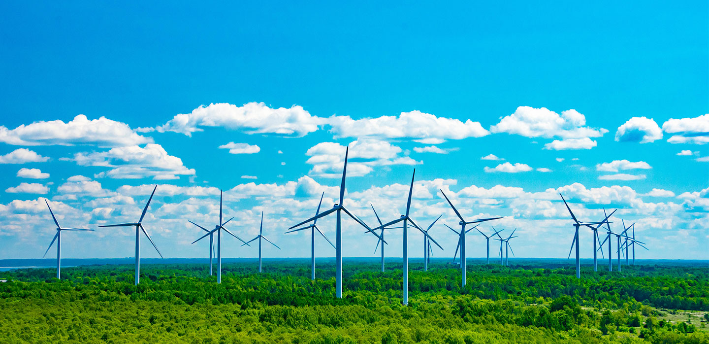Energy Market Insights: March 2025