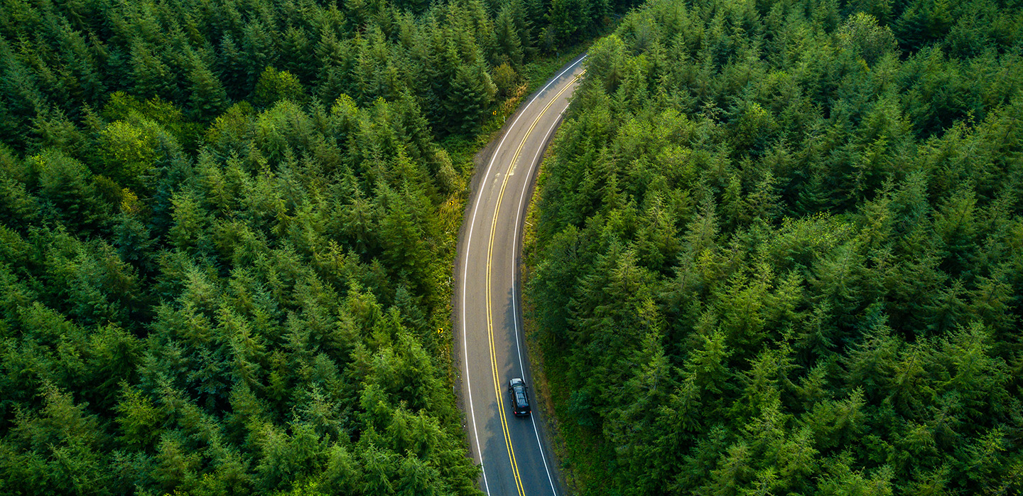 Decarbonization navigator: a toolkit for organizations