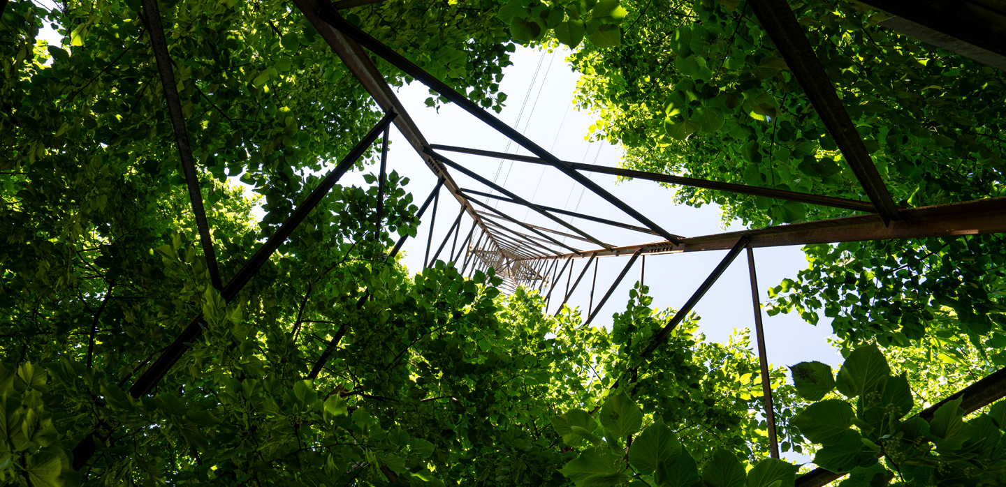 Demand response: is this low-hanging fruit part of your decarbonization strategy?