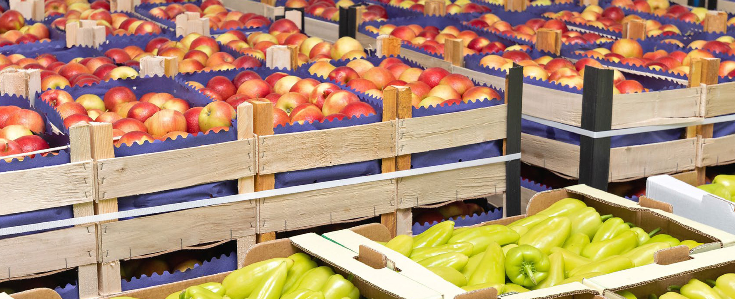Grocery cold storage facility earns cash with demand response