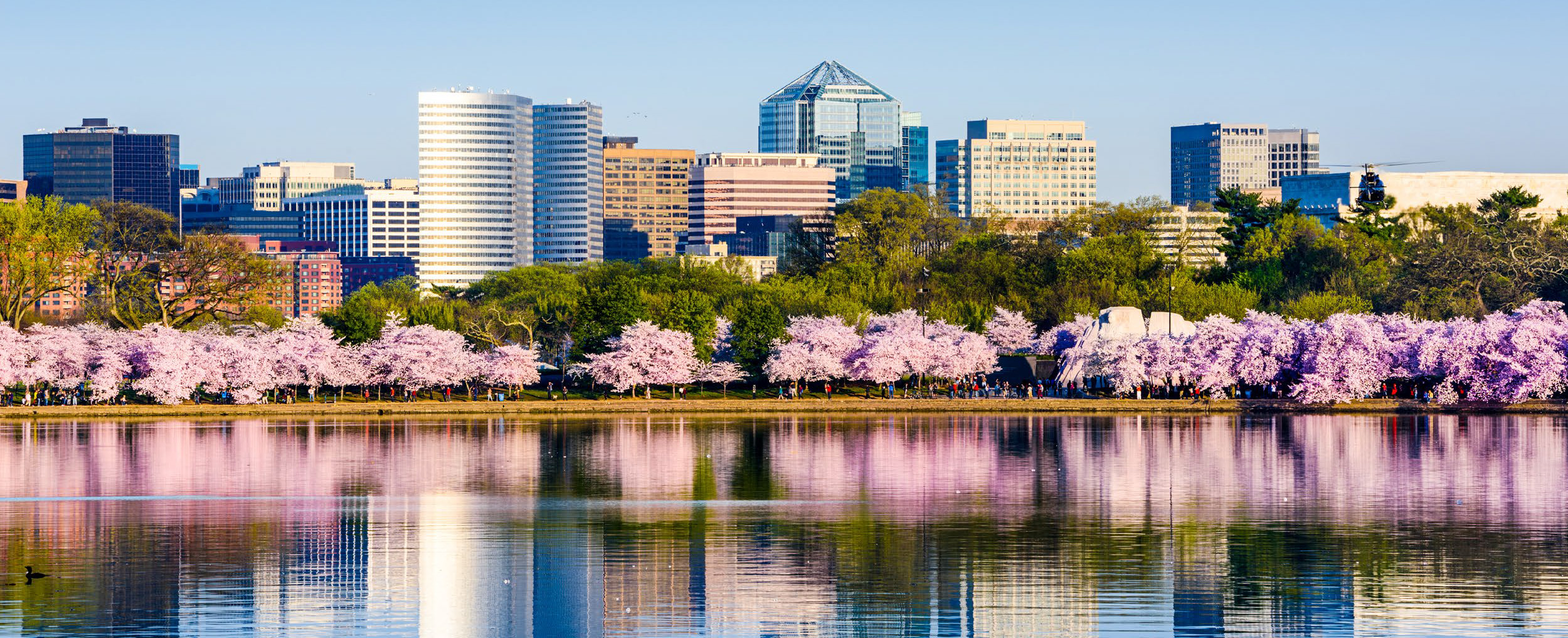 Washington Real Estate Investment Trust monetizes flexibility