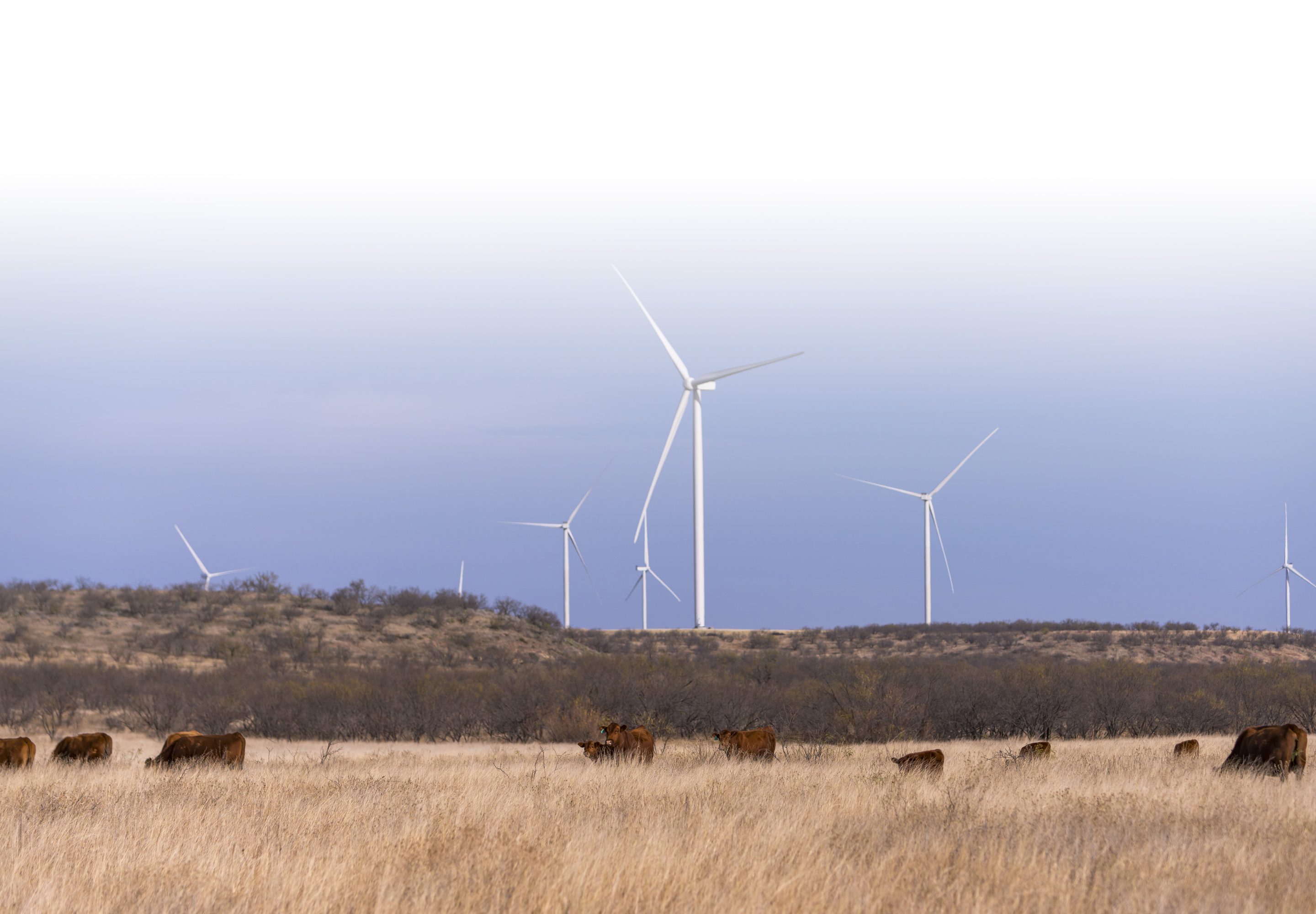 Azure Sky Wind + Storage Project